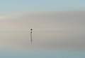 Misty Morning Lough Neagh